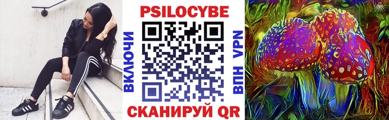 blacksprut онион  Моздок  Псилоцибиновые грибы Cubensis  где купить наркотик 