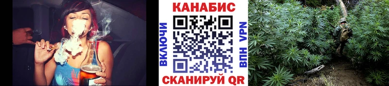 OMG онион  Моздок  Бошки Шишки гибрид 